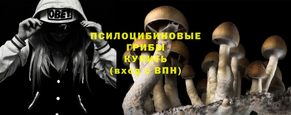 первитин Горно-Алтайск
