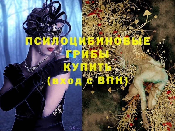 скорость Горнозаводск