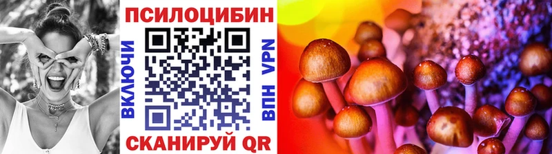 Псилоцибиновые грибы Psilocybine cubensis  Дубна 