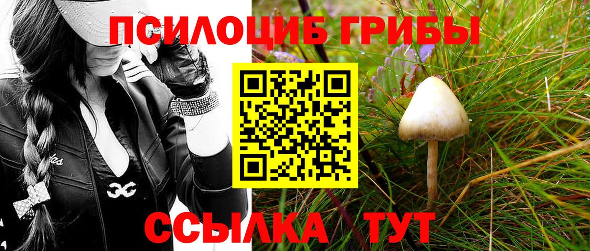 Галлюциногенные грибы GOLDEN TEACHER  Вход с VPN  Дубна  Псилоцибиновые грибы Cubensis 